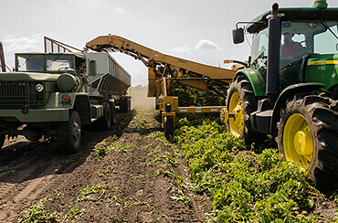 Agriculture Miracle you Don't Know